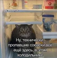 Snapinst.app_473055807_512783571318756_7857395867474753979_n_1080.webp
