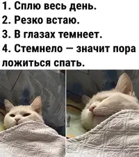 Snapinst.app_475308667_17954463665909633_4982939612492932229_n_1080.webp