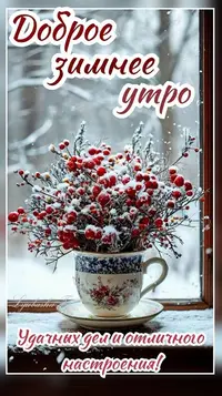 0241229_154914_543.webp