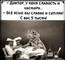 imgonline-com-ua-Resize-9EYlfEy9VX7m.webp