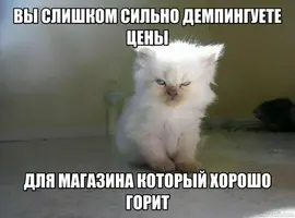 1738234668196947940.webp