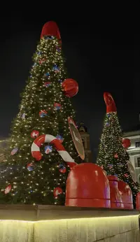 1738270776562.webp