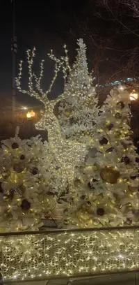 1738270815381.webp