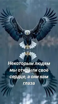 0_083236_790.webp