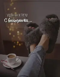 91cbda6816acf1a36dfd0a775bb7e641.webp
