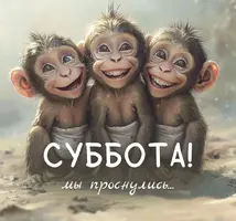 b0cf779a-2dba-40b7-a516-5d333f428bf2.webp