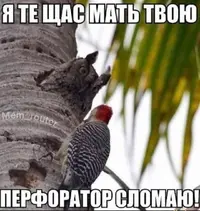 Snapinst.app_475881942_18062153083927789_8676237387692001441_n_1080.webp