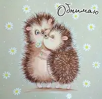 9d2a020059e4f104a0166f83b428bac4.webp