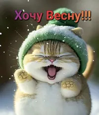 IMG_0110.webp