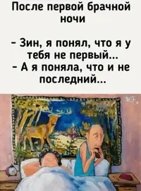 IMG_20250202_165337_956.webp