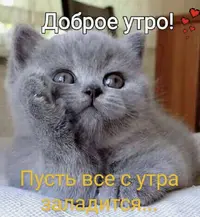 IMG_0126.webp