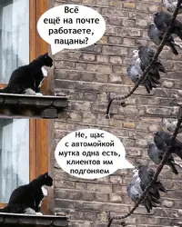 Snapinst.app_473655705_1320198136005634_8455789061220230077_n_1080.webp
