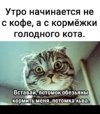Snapinst.app_475847160_18298047700210766_4267351525237810741_n_1080.webp