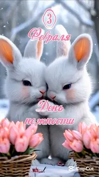 imgonline-com-ua-Resize-dT6lnsYr8T.webp