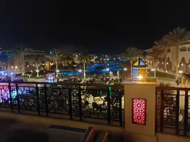20250203_194317.webp