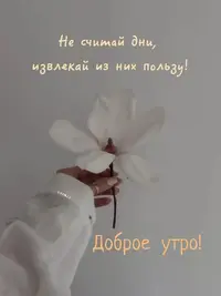 8ba9e7260d1f658a3ae6ee3dfb1e81b3.webp