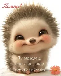 26cee7f5bb4c8f5d012f847e2143cf2d.webp