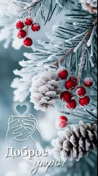 0112_095950_288.webp