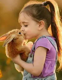 7dd729a6253e8154034cc10599228e52.webp