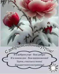 imgonline-com-ua-Resize-PRwKT8QqNMKho.webp