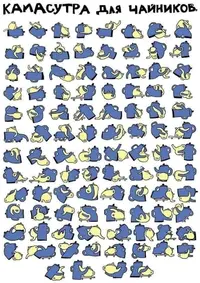 1000009264.webp