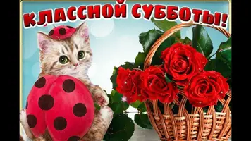 1652609992_5-kartinkof-club-p-s-udachnoi-subbotoi-kartinki-7.webp