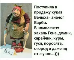 scale_2400.webp