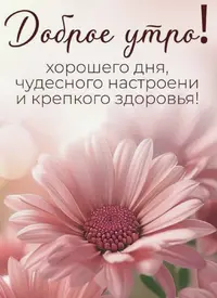 IMG_0437.webp