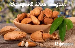 i-199333.webp