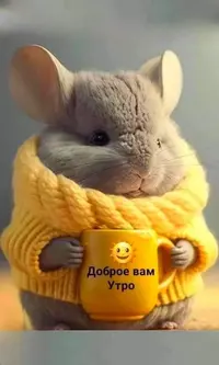 eca387913132d5c19d8ddd54c406d9f8.webp