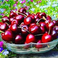 imgonline-com-ua-Resize-CKjFUlQJ3iwKR.webp