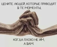 IMG_0478.webp