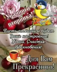 imgonline-com-ua-Resize-We750uloHxa8sQz.webp
