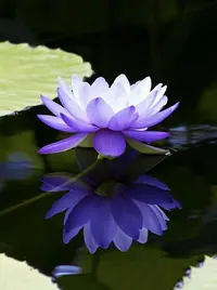 122-00-3.webp
