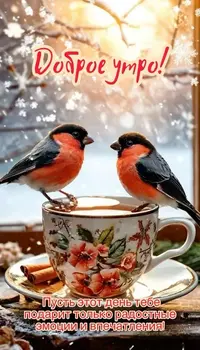 0120_183850_444.webp