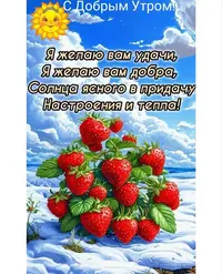imgonline-com-ua-Resize-zZdqWiU4oCJo.webp