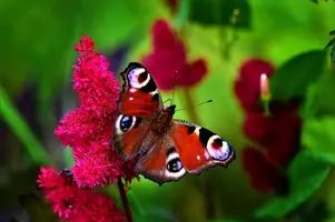 122-00-1.webp