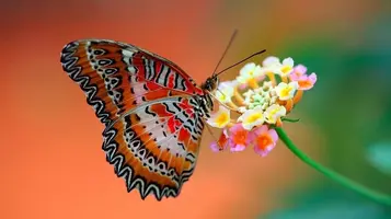 122-00-2.webp