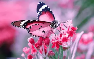 122-00-3.webp
