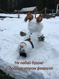 1740021447422.webp