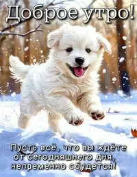 IMG_5959.webp