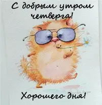 f9ab99b281491df78410e905c2142e19.webp