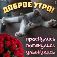 kartinka-s-dobrym-utrom-prosnulis-potyanulis-ulybnulis-5669.webp