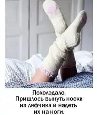 1000108977.webp