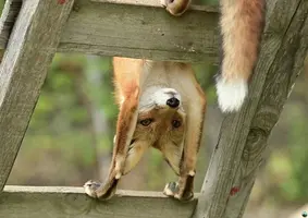 YioIsHiXL9Y.webp