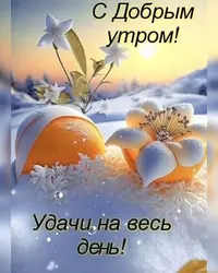 imgonline-com-ua-Resize-l3EJADwIC5iH6atr.webp