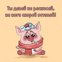 2466c22249.webp
