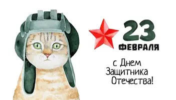 94ecc72dd396.webp
