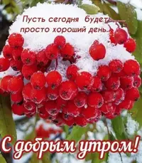 imgonline-com-ua-Resize-1gPVdkLMUVbPb0cQ.webp