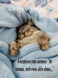 6cb6f51b48f94a611befed556df5b06e.webp